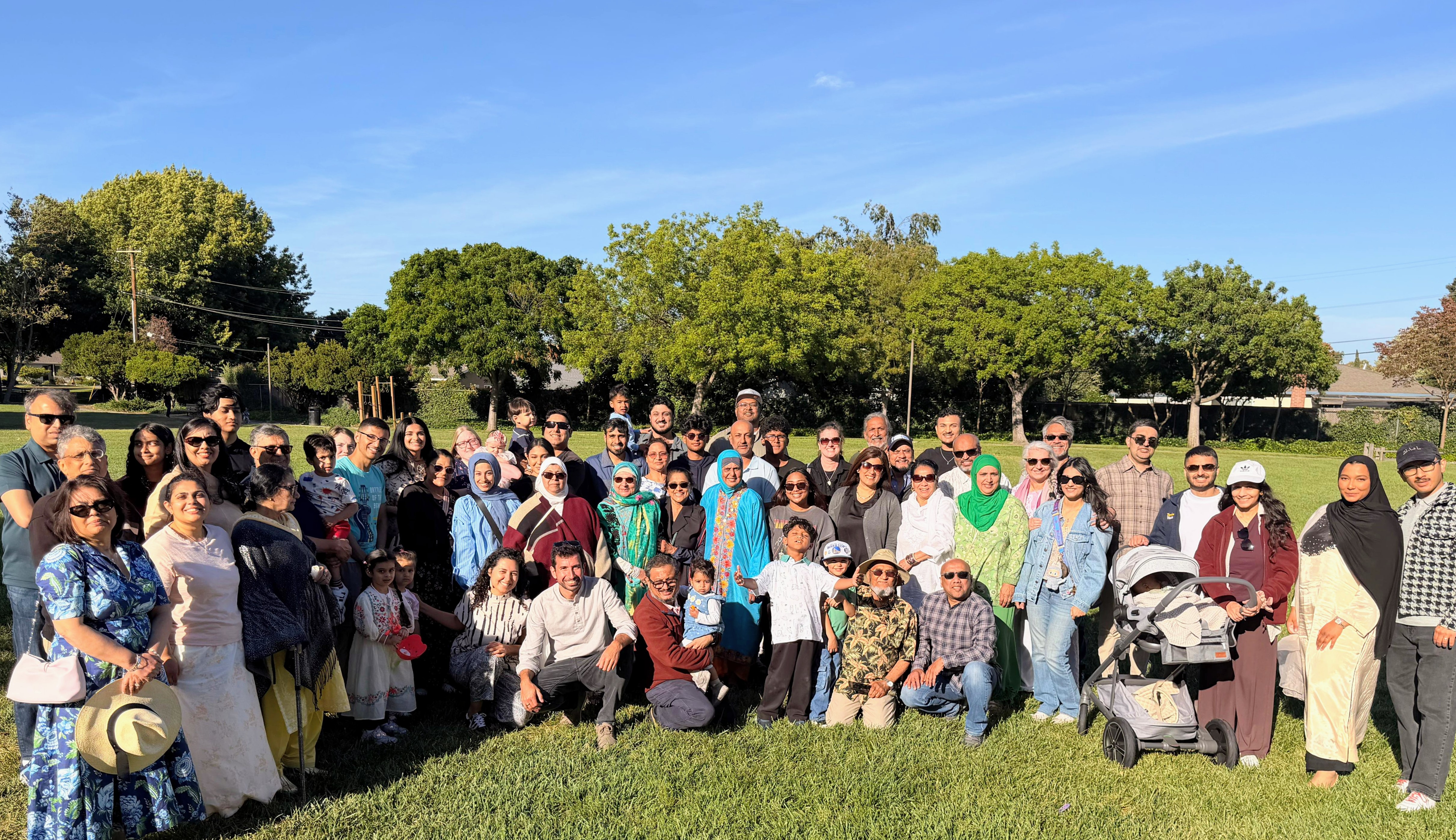 A large group of family and friends gathered together on the grass in a sunny park