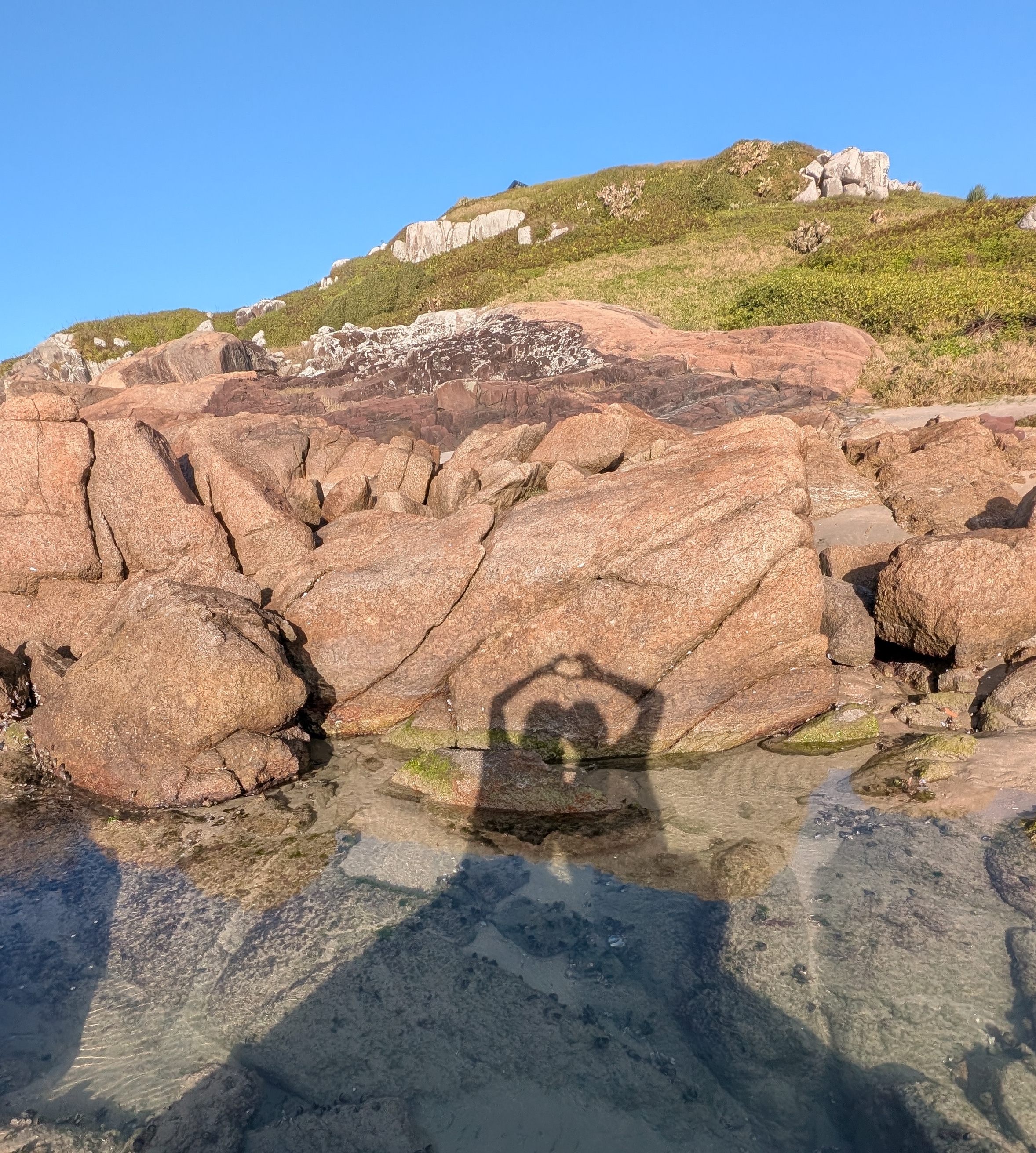 Their shadows making a heart shape against sunlit rocks above a tide pool