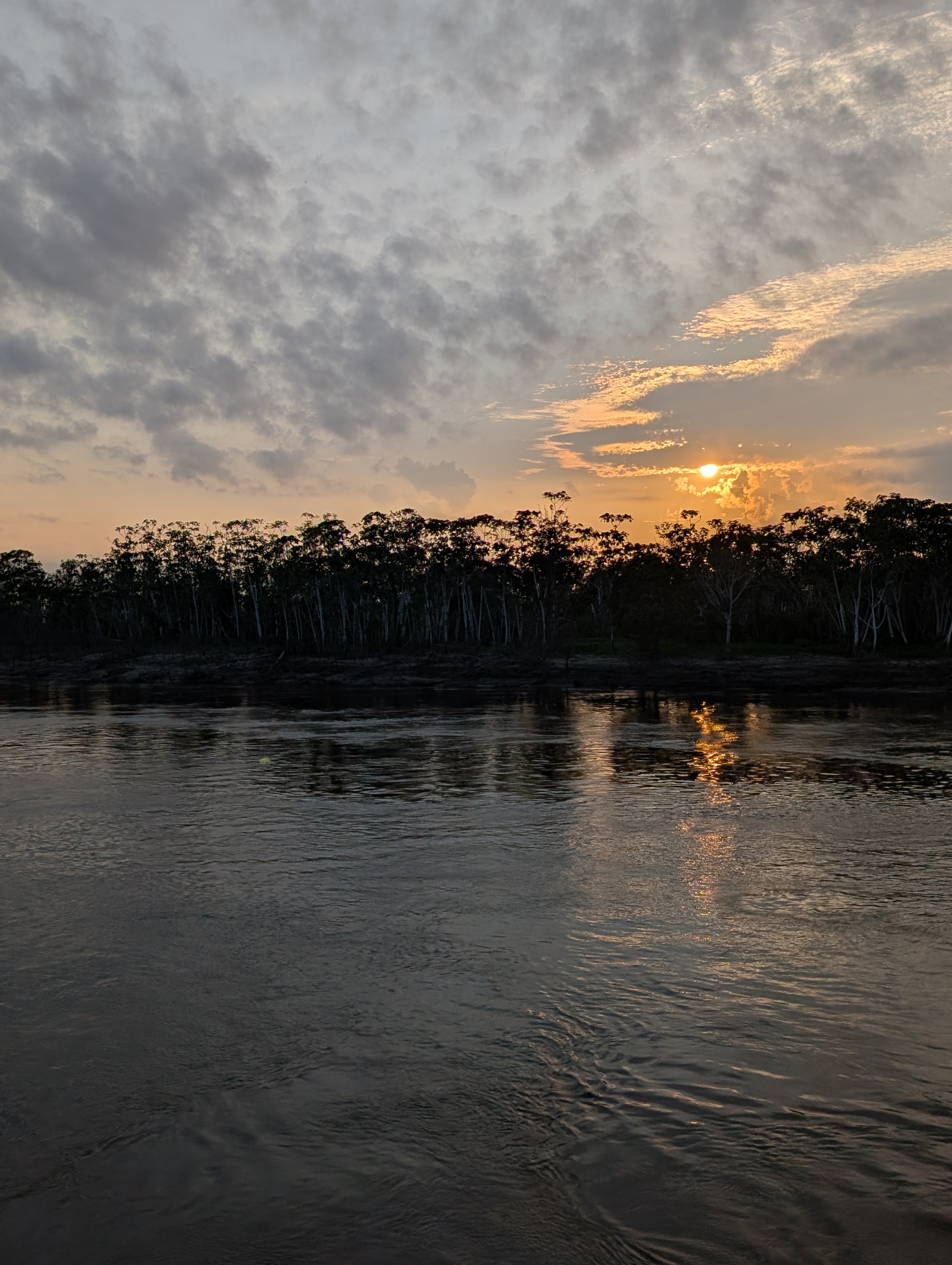 The sun setting over a forested riverbank in the Amazon