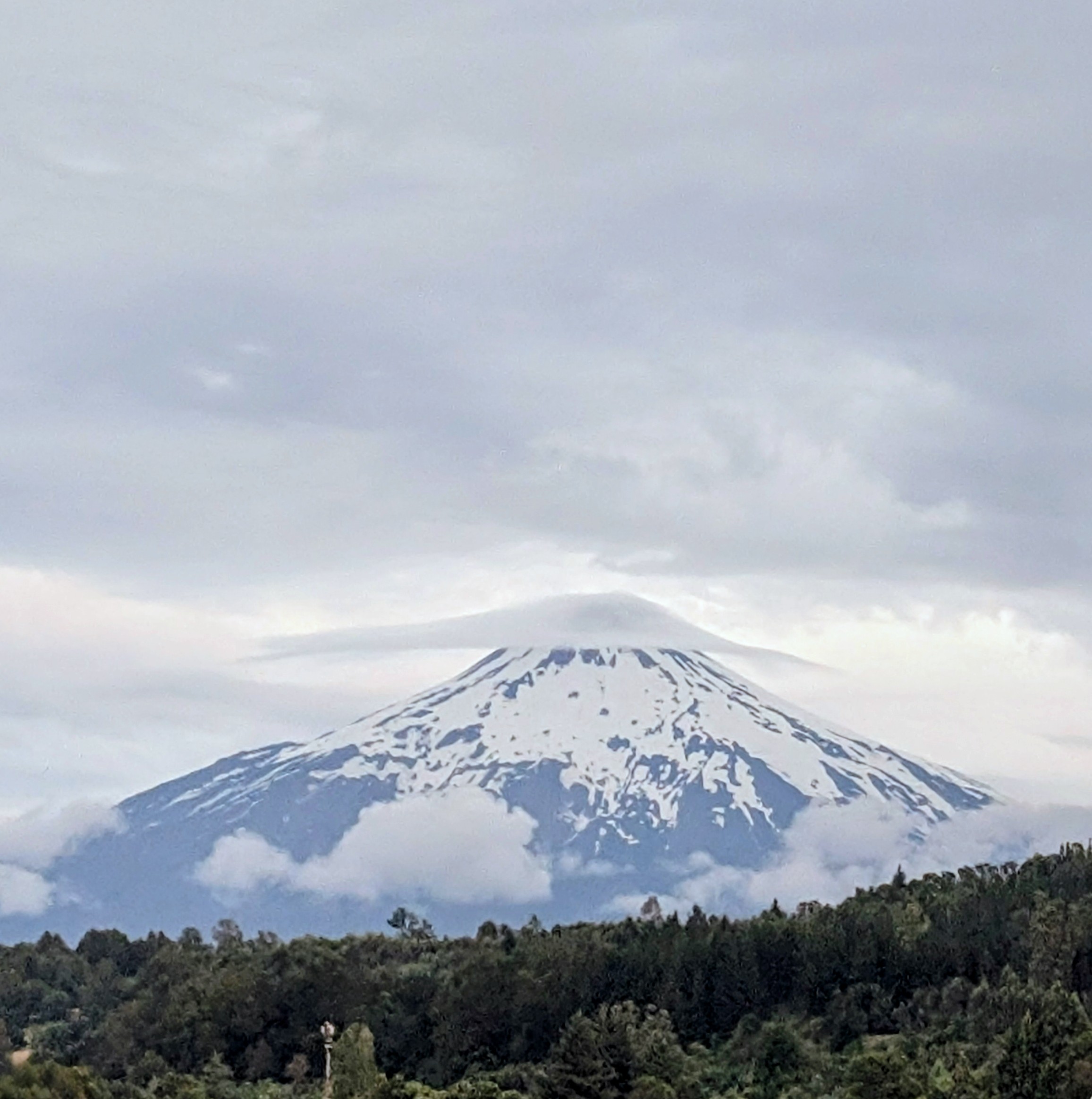 A snow-capped volcano wearing a cap of cloud above a dark green forest