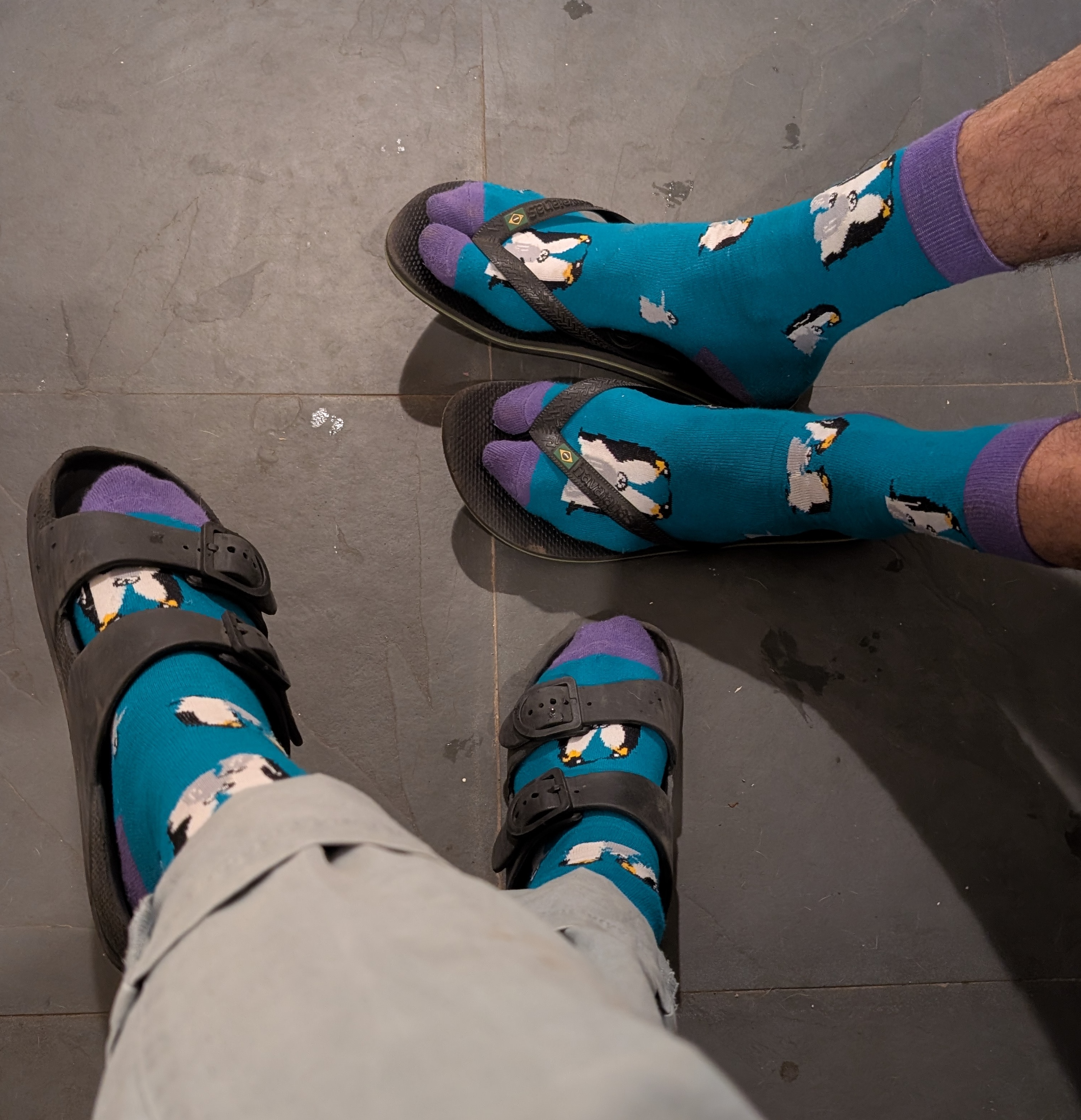 Two pairs of feet in matching teal penguin socks and sandals on a slate floor