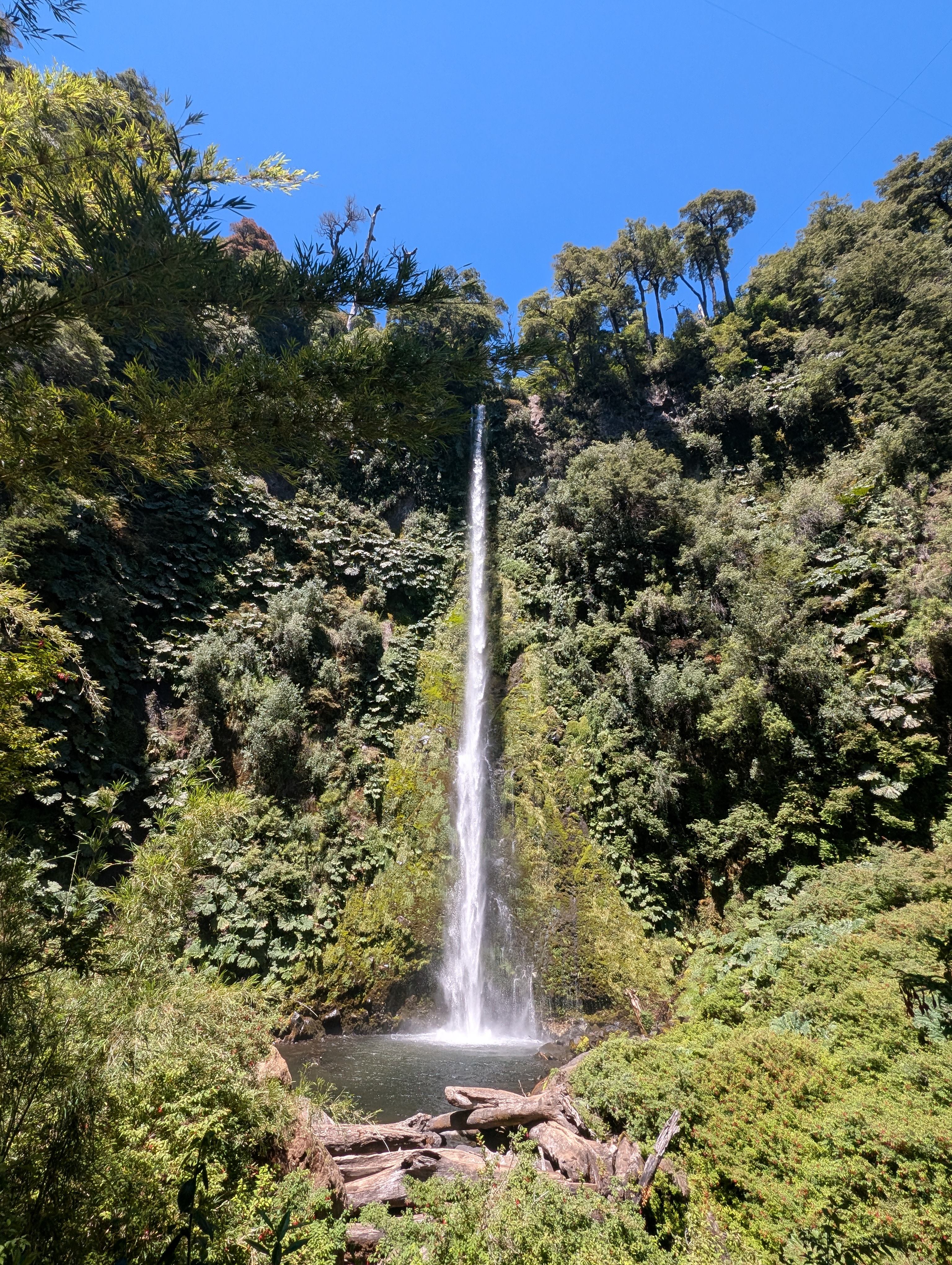 A tall, slender waterfall dropping into a pool in a lush green gorge under blue sky